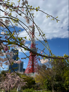 東京タワー